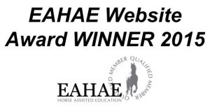 EAHAE website winner 2015