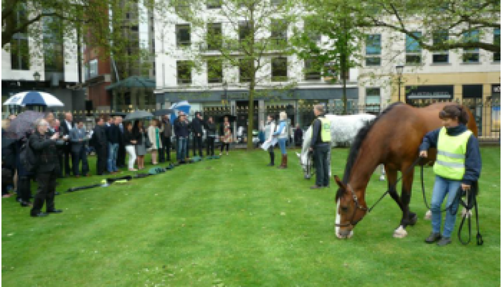 HORSES PITCH UP IN BIRMINGHAM The Leadership Whisperers